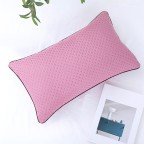 Thick Quilted Pillowcase with Buckwheat Hull Pillow Core